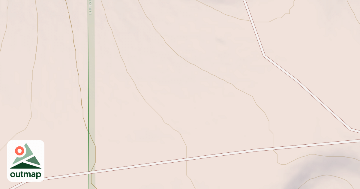 Map of USFS National Forest System Roads {8ADFDFF3-D5CF-4624-8C25-42C47C887BDD}