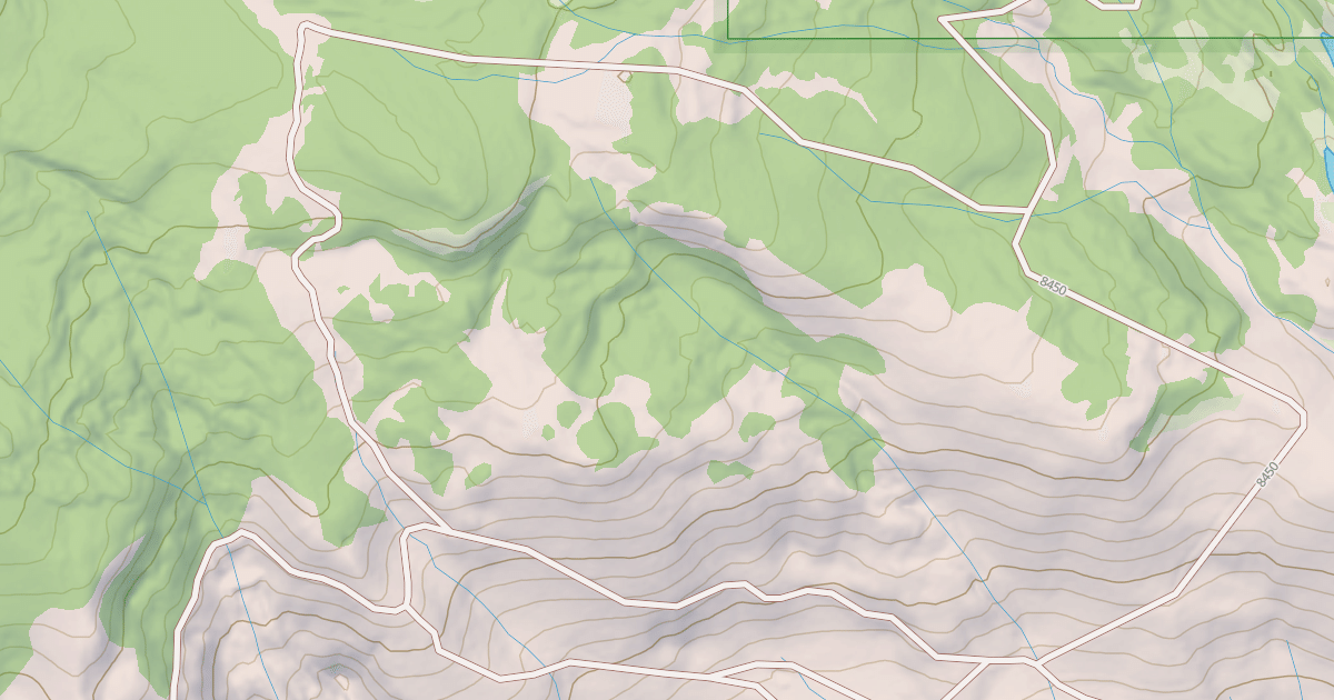 Map preview of BLM National GTLF Public Motorized Roads 319d9743-66a4-4e6c-bd8f-4aaff2c1d08c