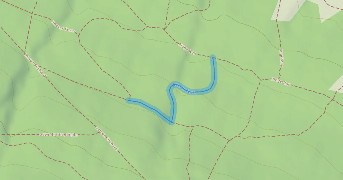 Map preview of Beaver Fever