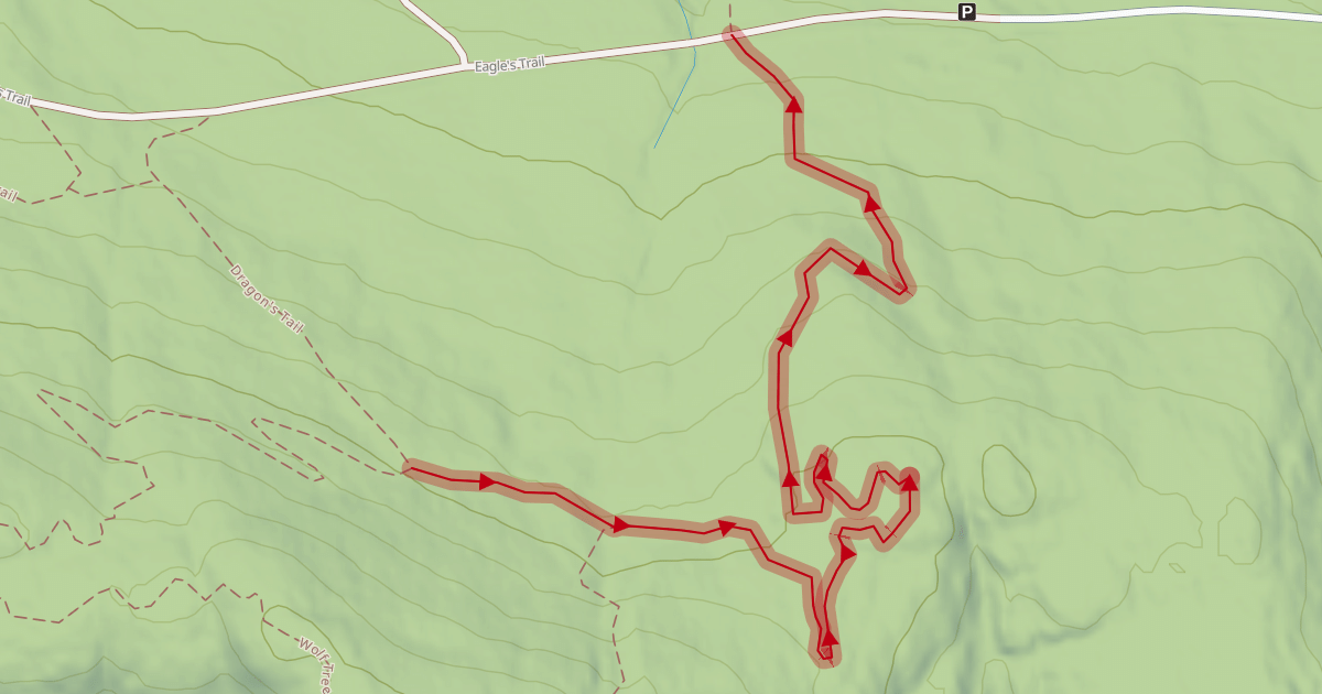 Map preview of Enchanted Forest