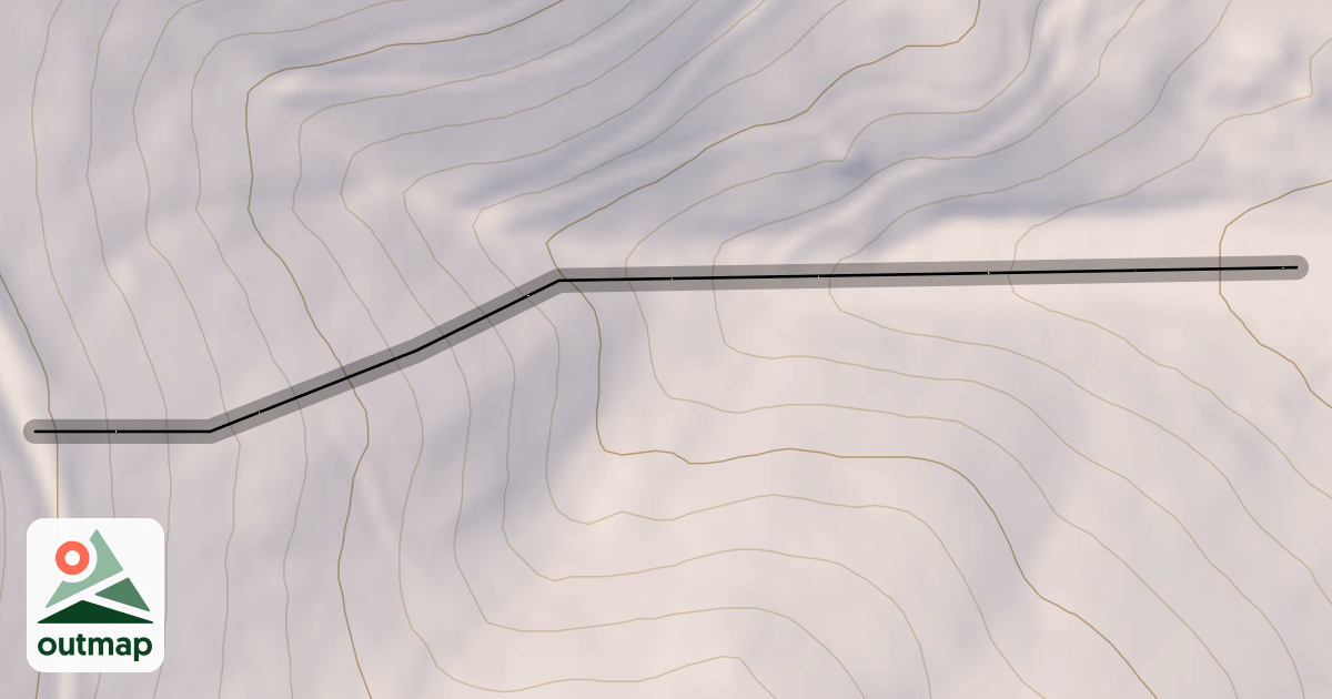 Map of Lower Belly
