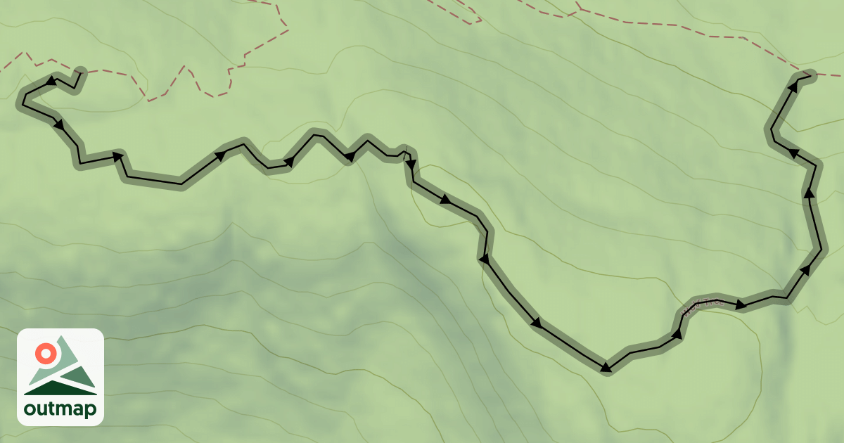 Map of Wolf Tree