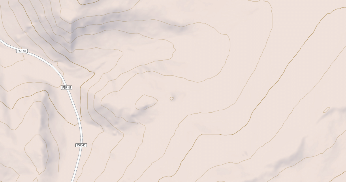 Map preview of COUNTY 045 BR 1A
