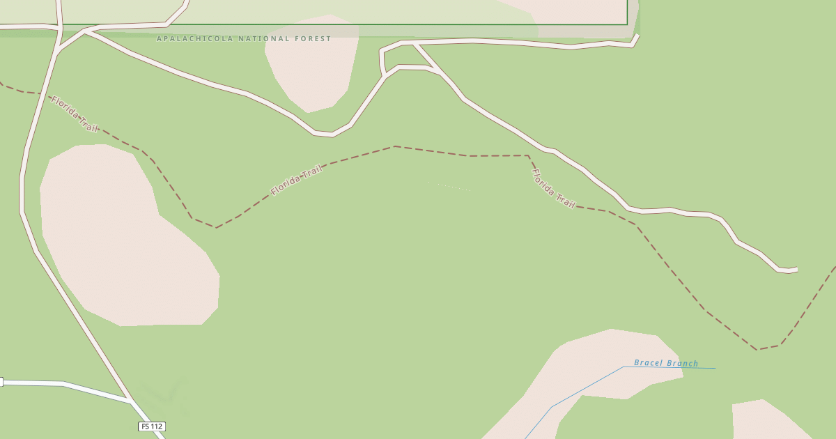 Map preview of USFS National Forest System Roads {8E03DDC0-160B-4AB2-8FE1-9A419DE85953}