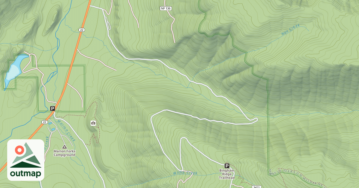 Map of BINGHAM RIDGE ROAD