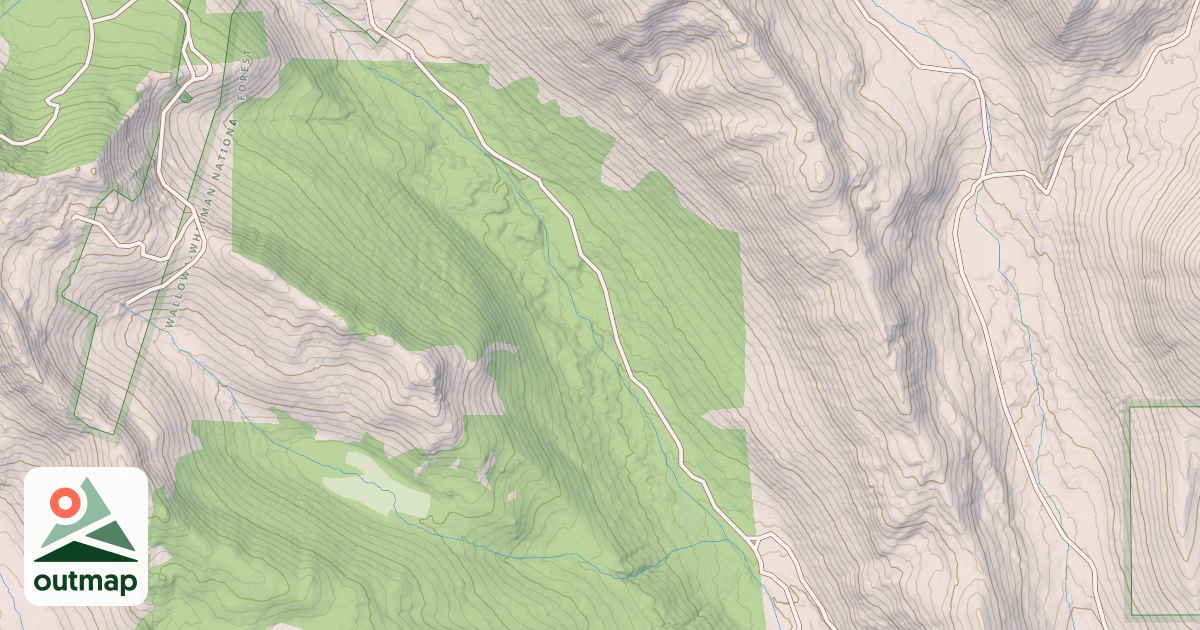 Map of USFS National Forest System Roads {A4495C94-B06A-467B-B466-841561154F72}