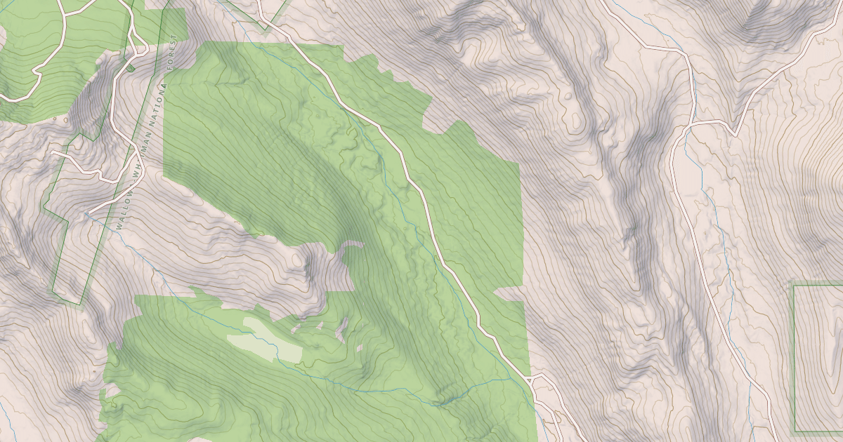 Map preview of USFS National Forest System Roads {A4495C94-B06A-467B-B466-841561154F72}