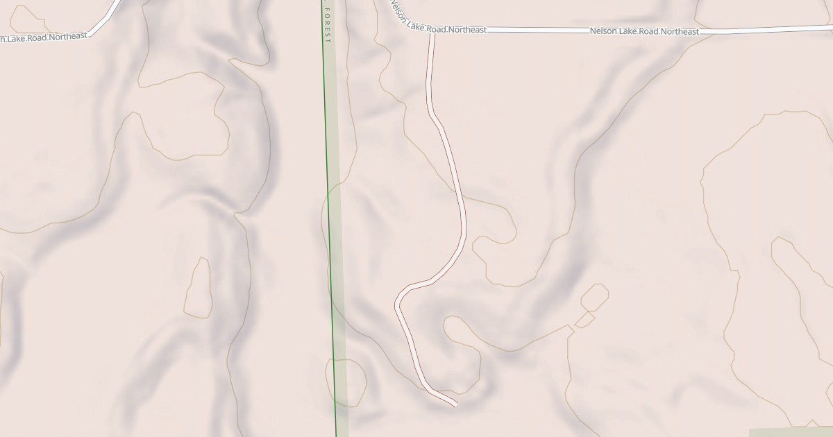 Map preview of NELSON LAKE SPUR E