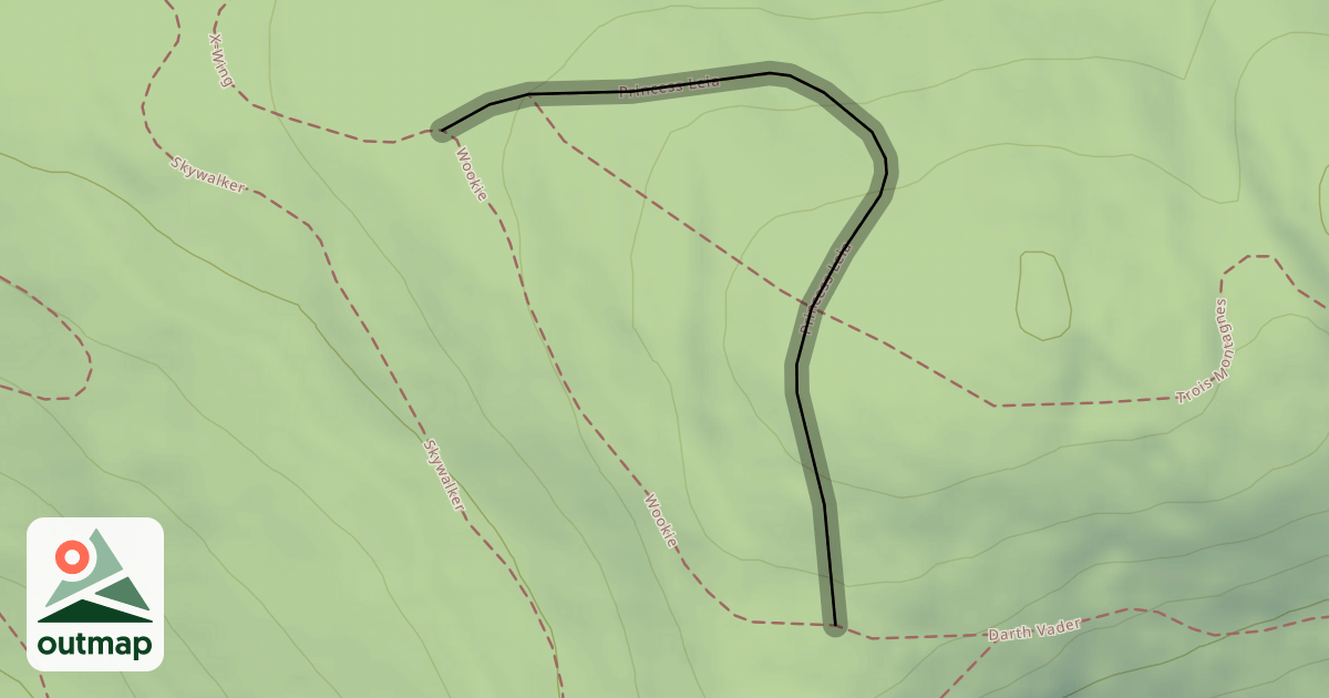 Map of Princess Leia