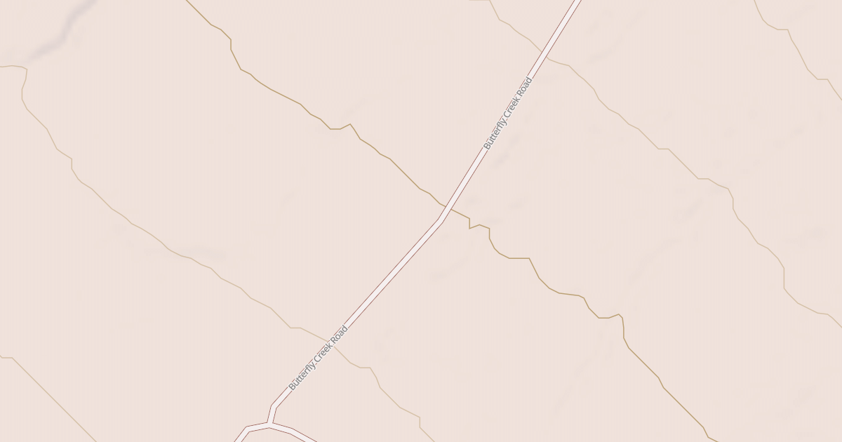 Map preview of BLM National GTLF Public Motorized Roads 79c63fff-4cd8-499e-9af2-0a9b8d19db79