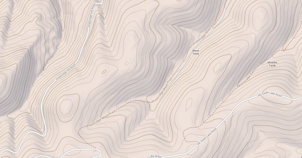 Map preview of Prestridge W.