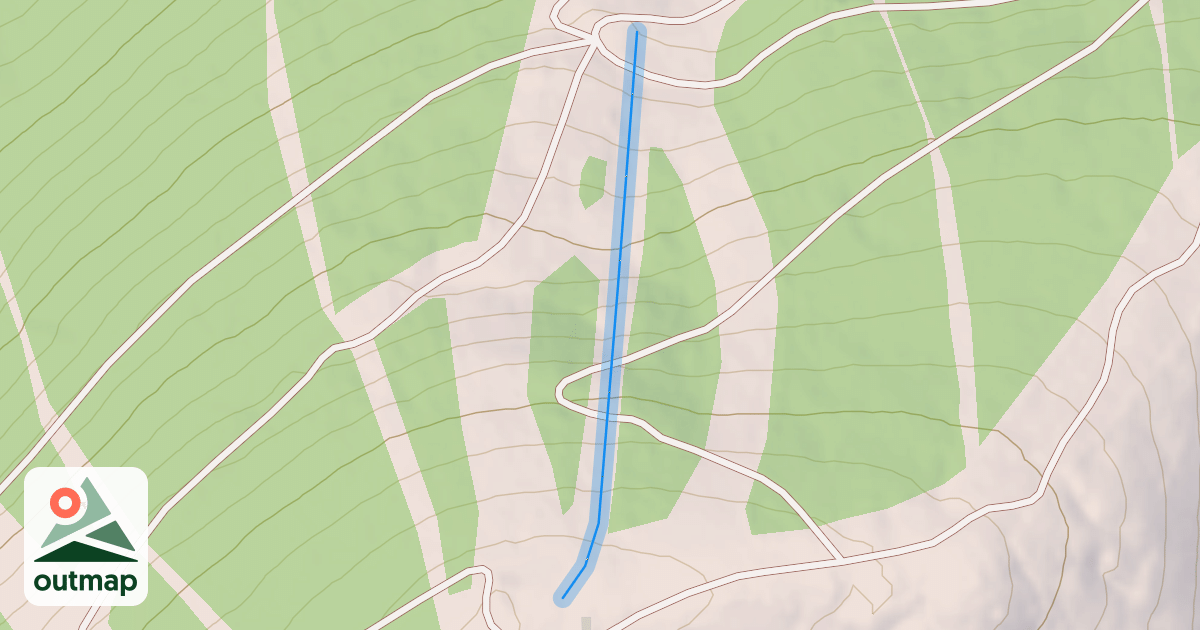 Map of Timber Cruiser
