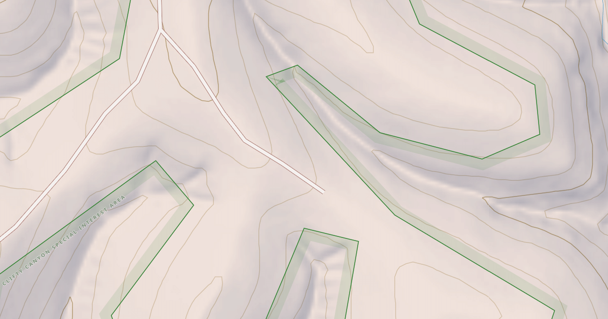 Map preview of USFS National Forest System Roads {7C9B925F-4211-4B28-BDC5-9E79C2F6C452}