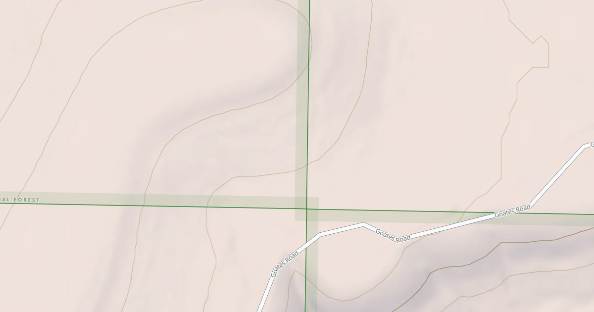 Map preview of USFS Motor Vehicle Use Map Roads {62686C09-9CE0-4C8E-A906-55AD92AEC61E}