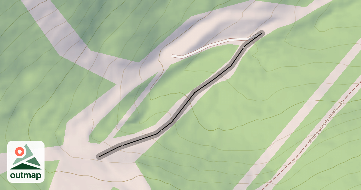 Map of Cascade Runout
