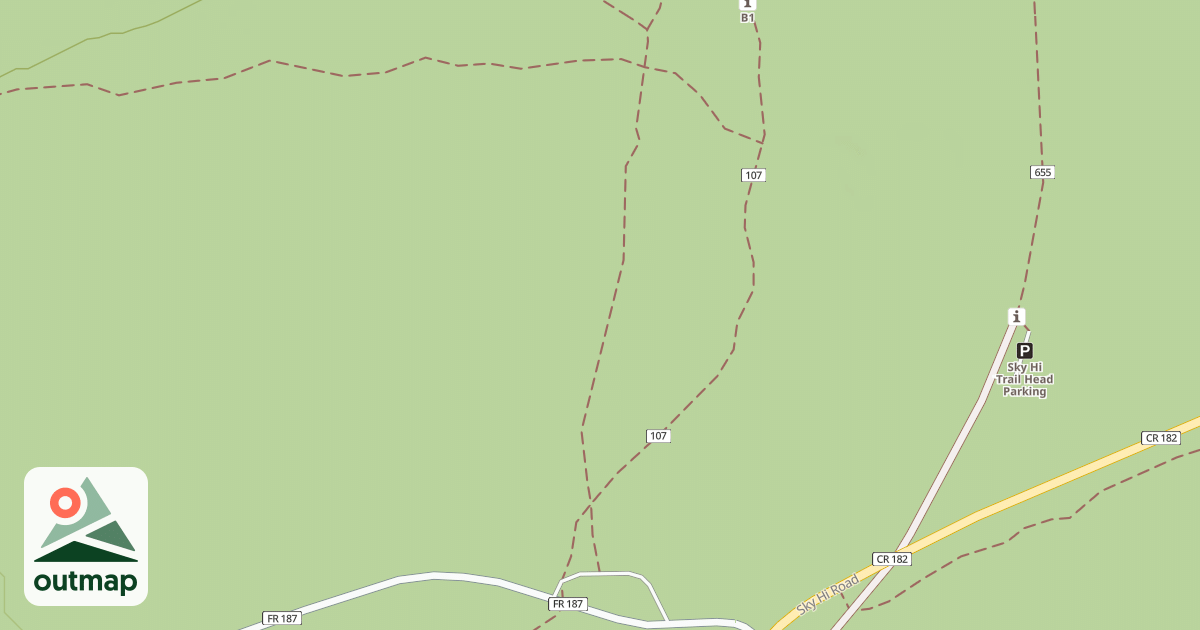 Map of USFS National Forest System Roads {E29048F0-F400-4B4B-91DA-F0C1E2260E92}
