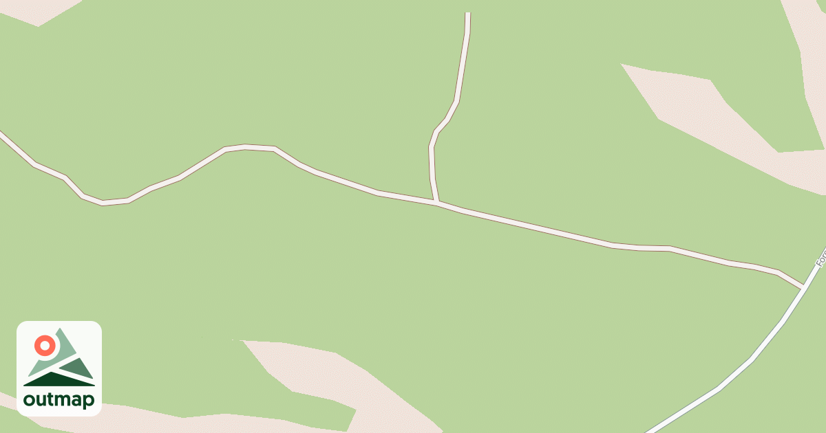 Map of USFS National Forest System Roads {835C736A-B337-4C18-A2EA-9C168780048E}