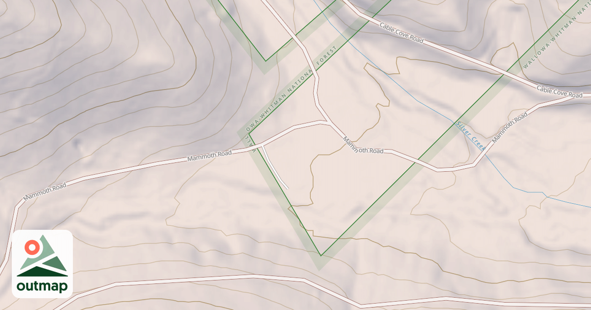 Map of USFS National Forest System Roads {A00D3A52-E5FB-4338-8E00-0865D53064A7}