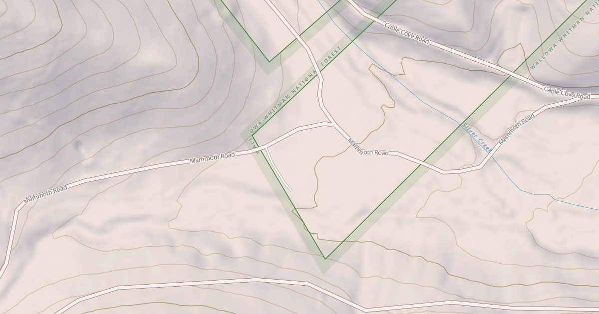 Map preview of USFS National Forest System Roads {A00D3A52-E5FB-4338-8E00-0865D53064A7}