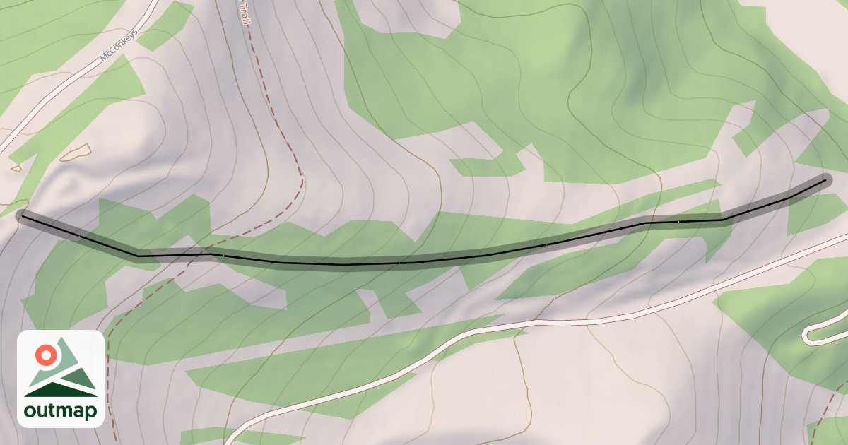 Map of Zebra Trees
