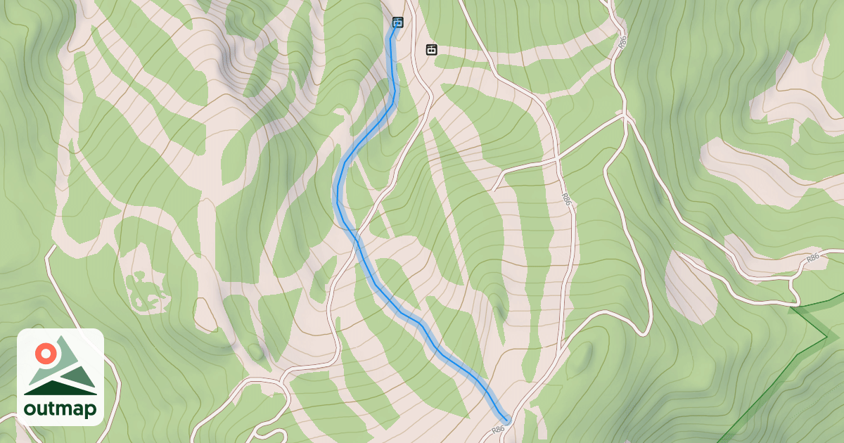 Map of Young Girl