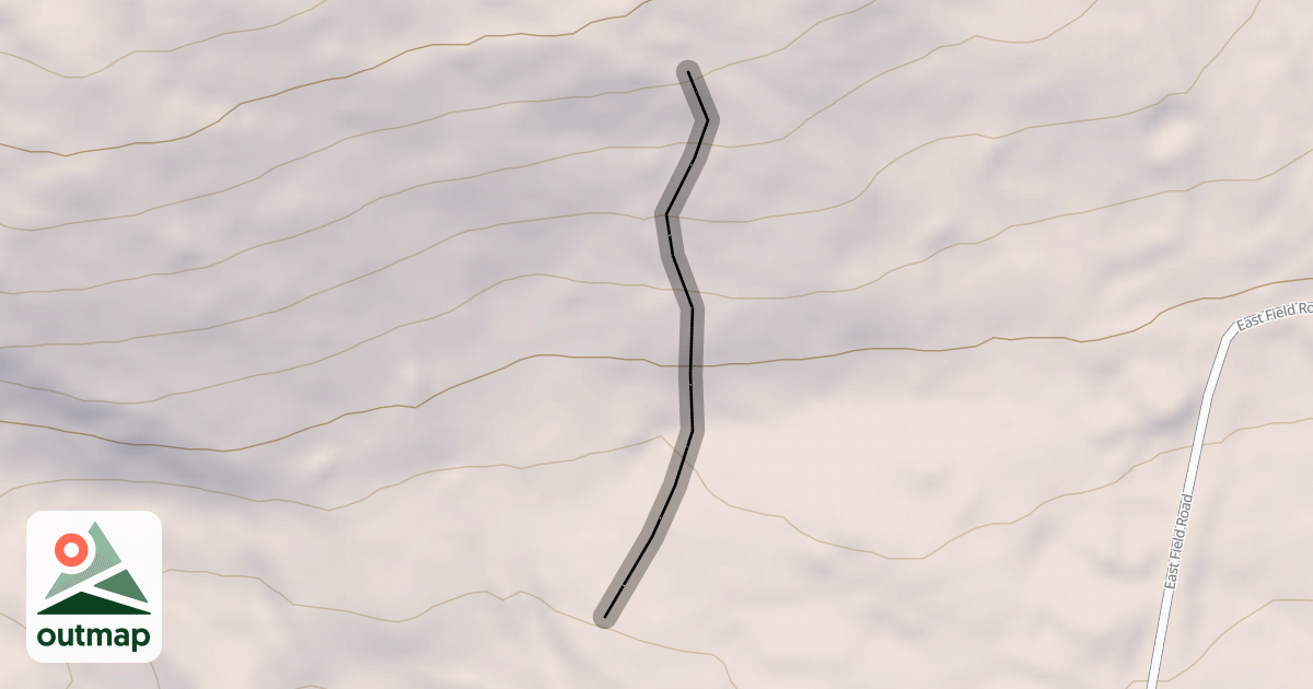 Map of S-Turns