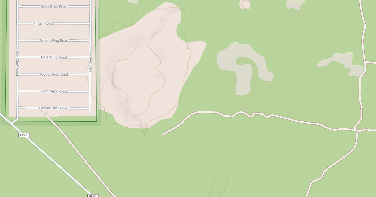 Map preview of USFS National Forest System Roads {85477703-33E2-4D46-B9BA-0330B2A61821}
