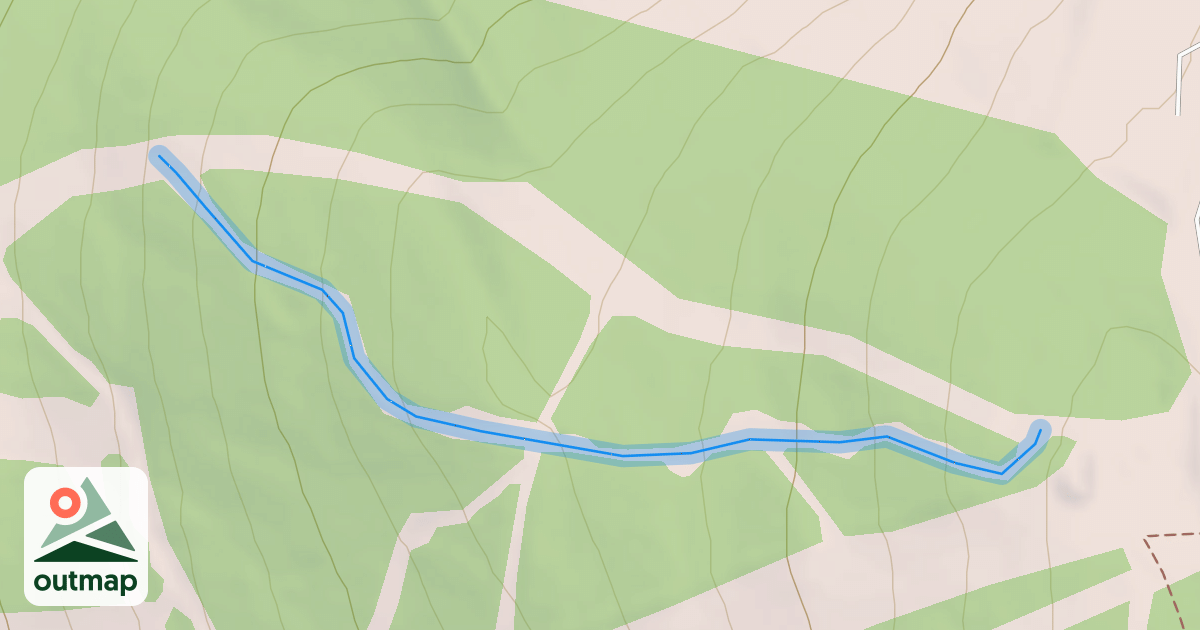 Map of Snake