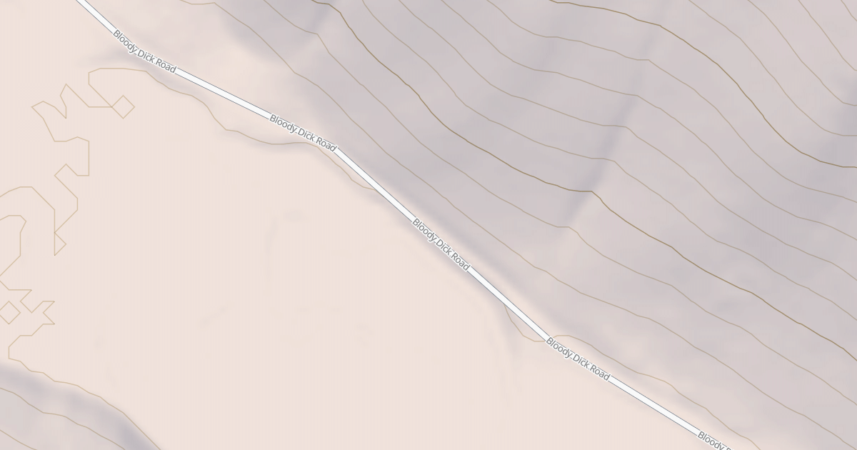 Map preview of BLM National GTLF Public Motorized Roads 1c6b5b06-fc1d-4f7e-9bd4-4f4f4c9bb82a