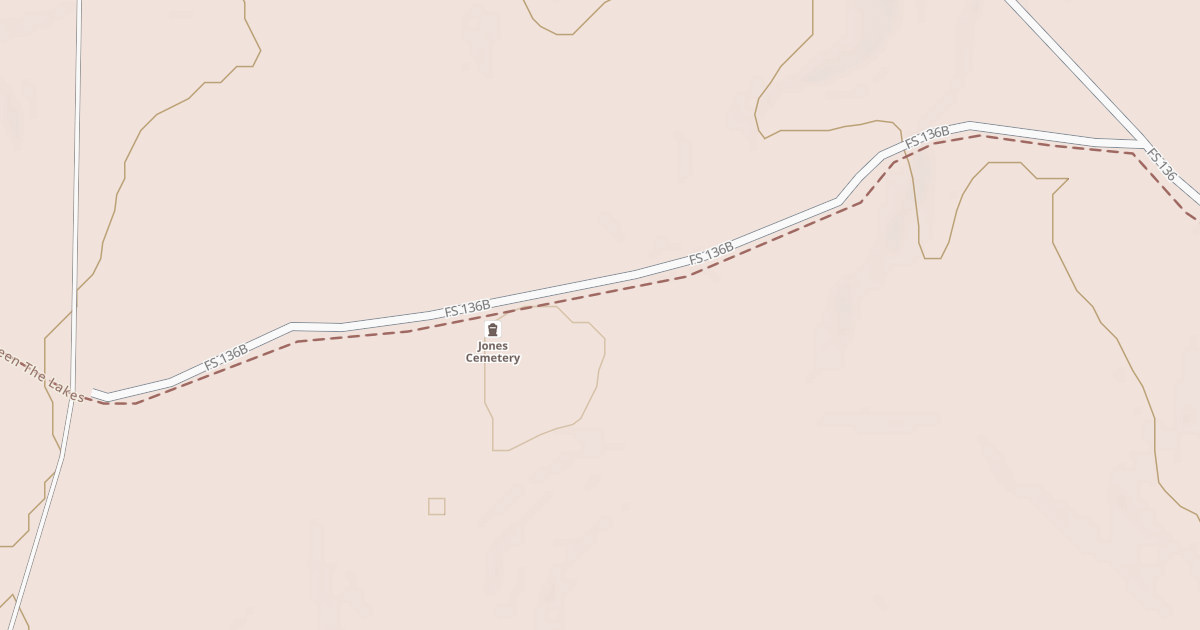 Map preview of USFS National Forest System Roads {D6B7F5BF-1155-454B-A0B8-0AA47A5115D0}