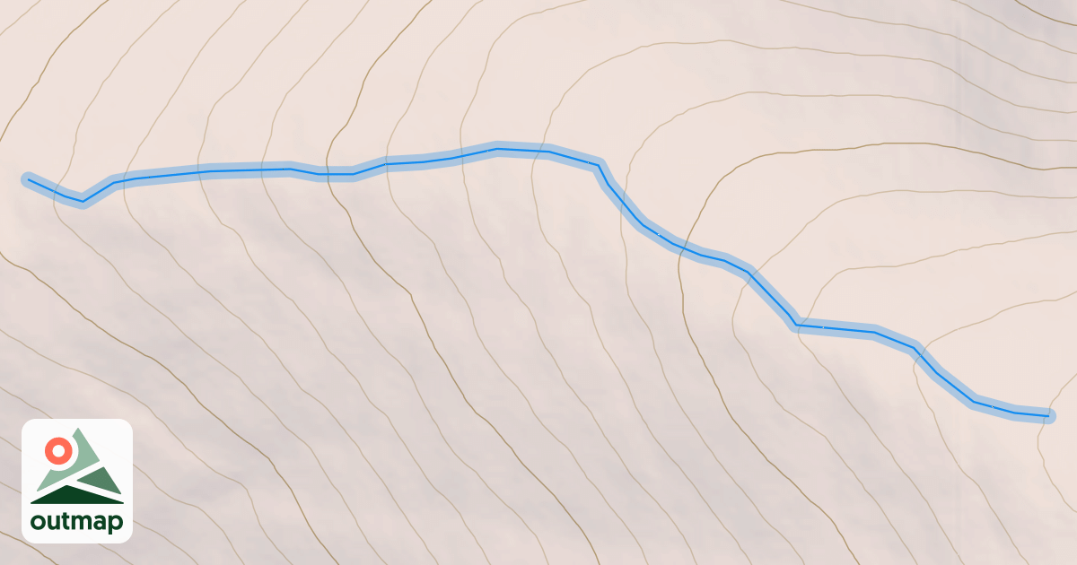 Map of Lost Bear