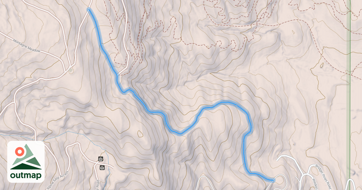 Map of Timmy's Road