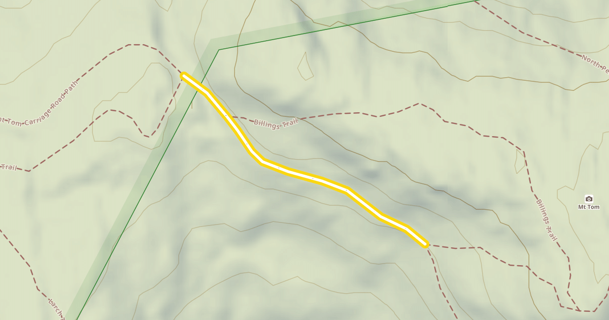 Map preview of Mount Tom Carriage Road Path