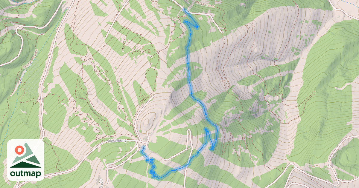 Map of Snake Charmer