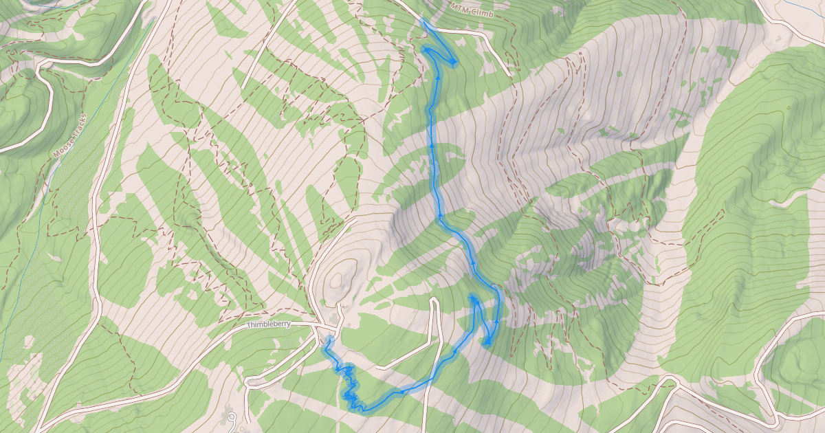 Map preview of Snake Charmer