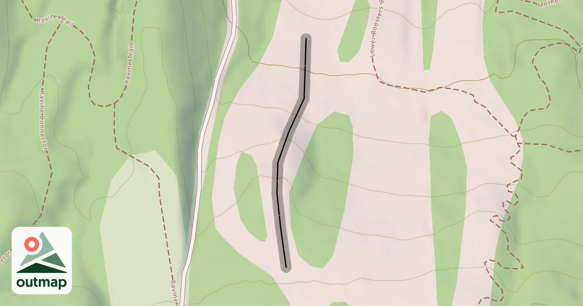 Map of The Face
