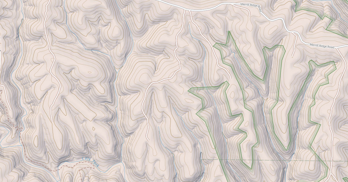 Map preview of USFS National Forest System Roads {C3D023D3-6804-4556-8B74-B6029FA0B9F3}
