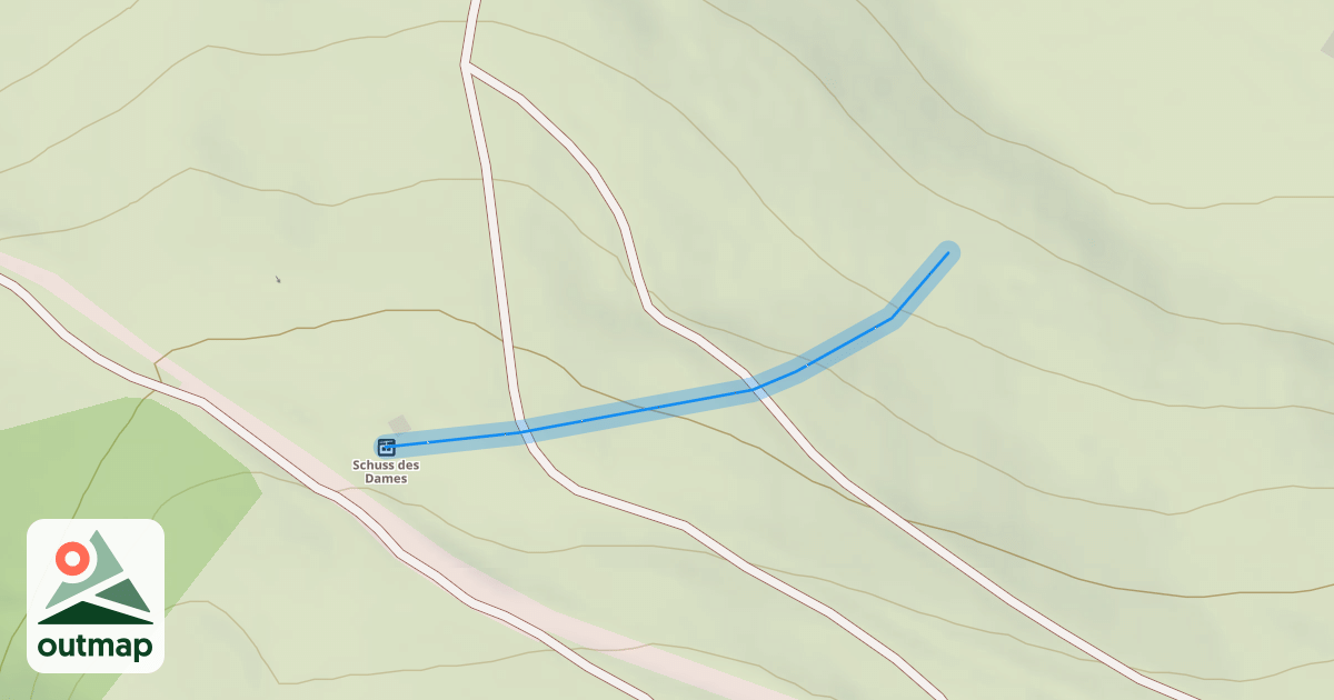 Map of Bellevue