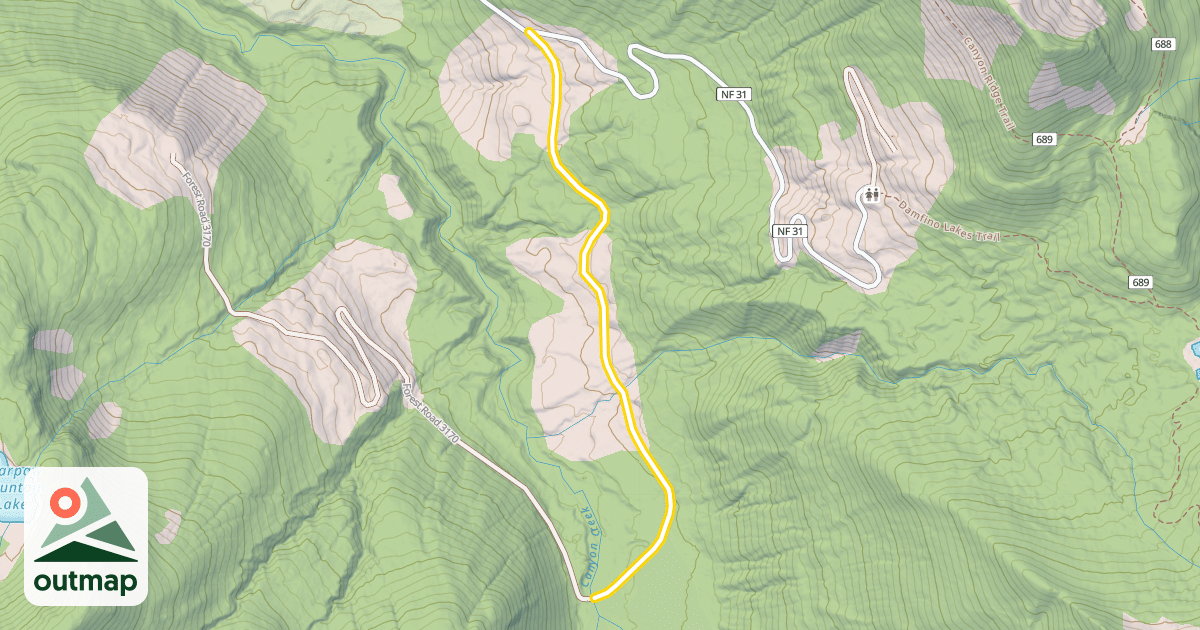 Map of Forest Road 3170