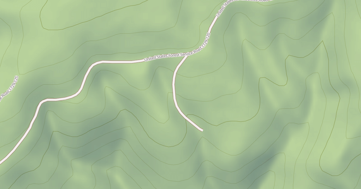 Map preview of USFS Motor Vehicle Use Map Roads {39FA394F-E064-46A7-996F-30467DDAA479}
