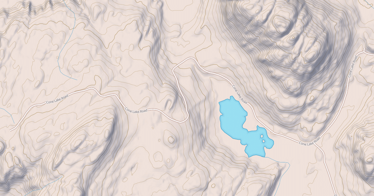 Map preview of CONE LAKE