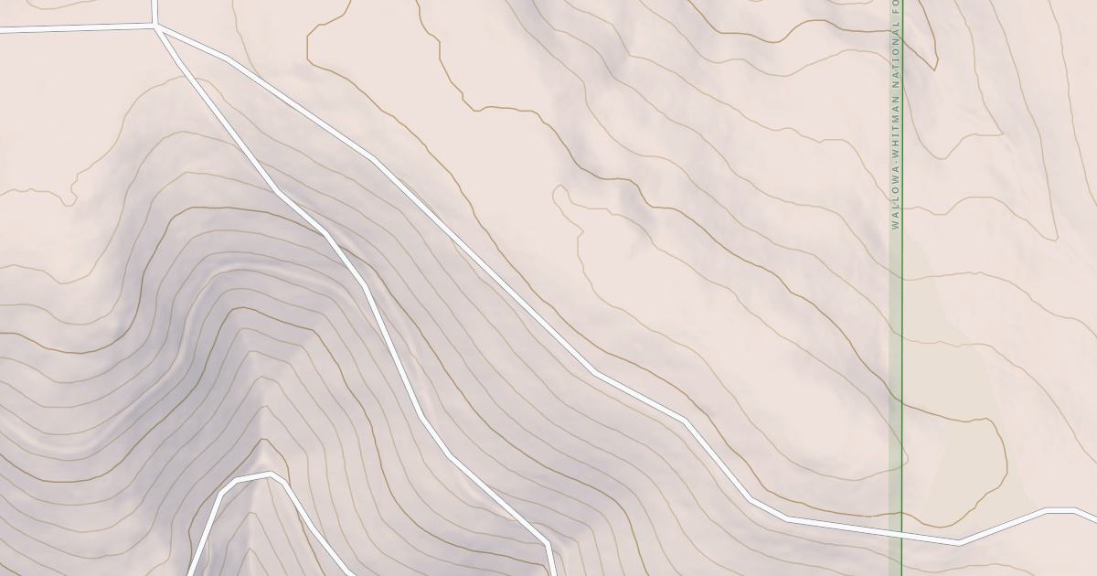 Map preview of USFS National Forest System Roads {30B5D4FF-A9B3-4087-8F9D-C2B409B9ABD1}
