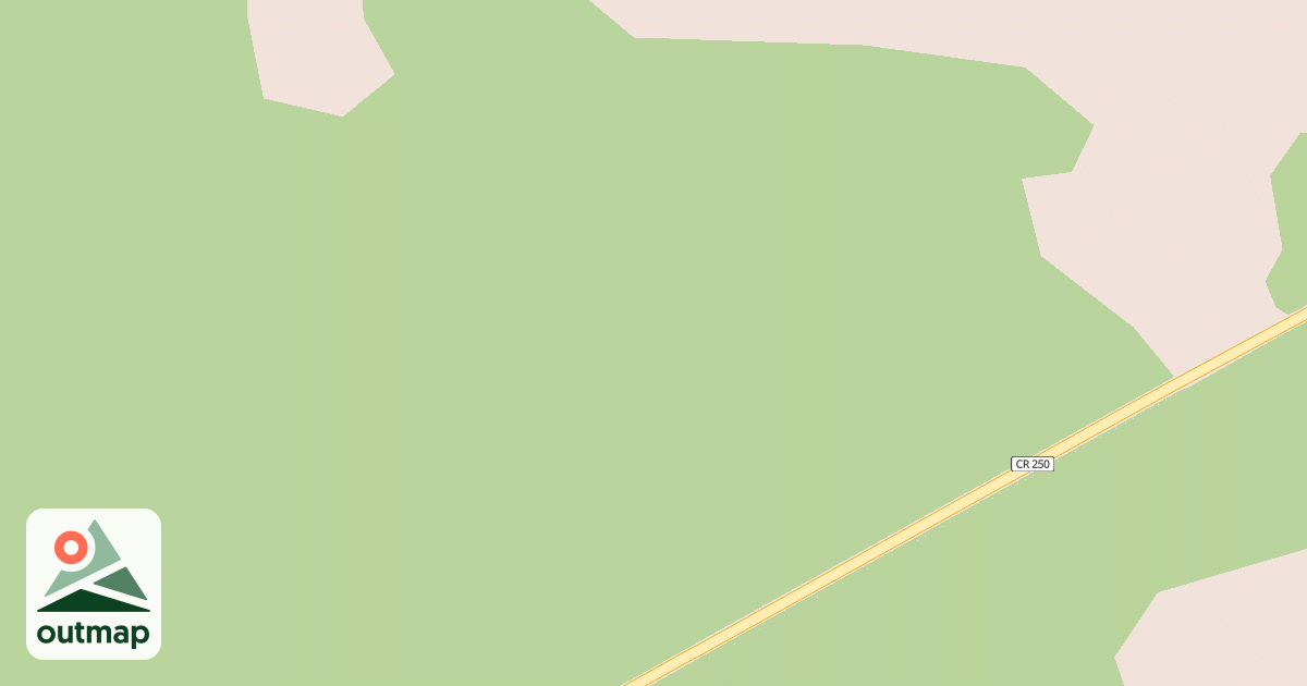 Map of USFS National Forest System Roads {34C4C4C6-5937-4A60-A009-B9EDEBBE5364}