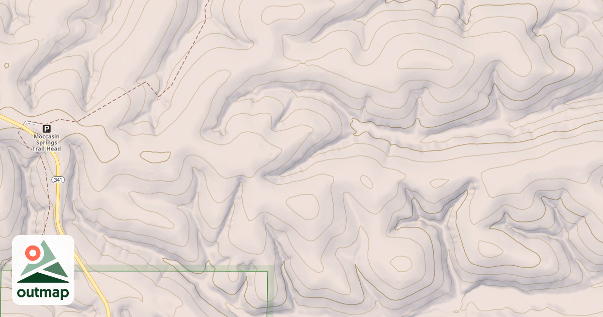 Map of USFS National Forest System Roads {1F49D64C-12A3-4AF6-8F97-5C0E07D4D0C9}