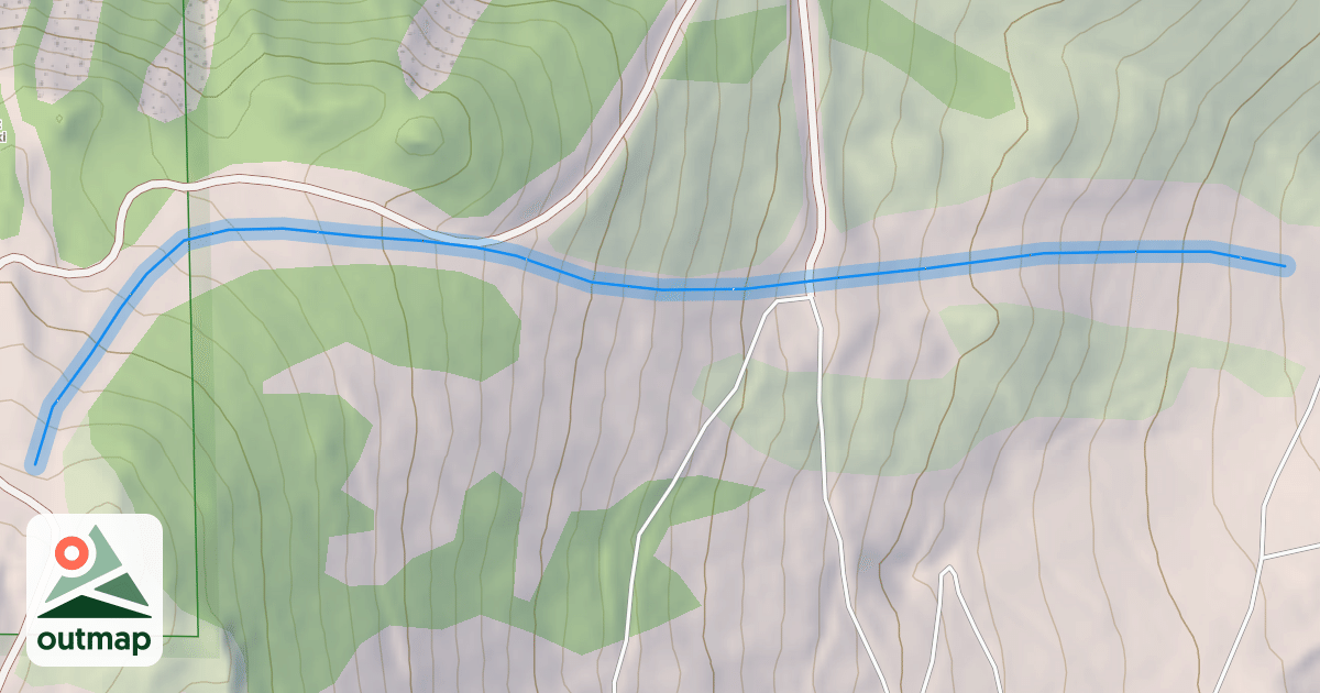 Map of Silver Dollar