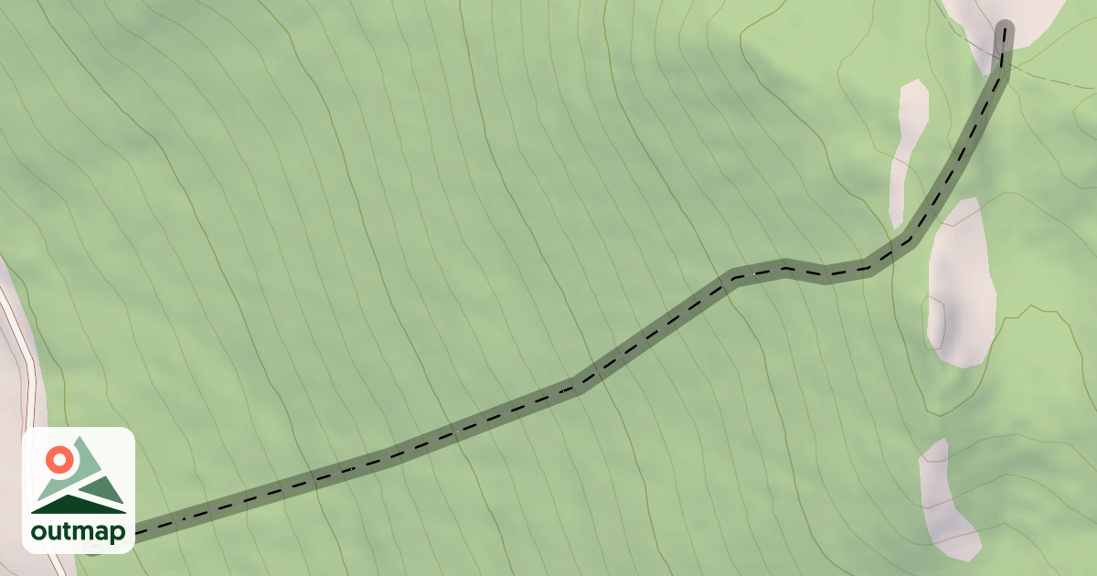 Map of Backstroke