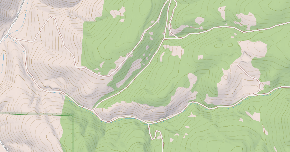 Map preview of USFS National Forest System Roads {881CA3FC-F4BE-4DED-9A1D-E2DEE399C0CD}