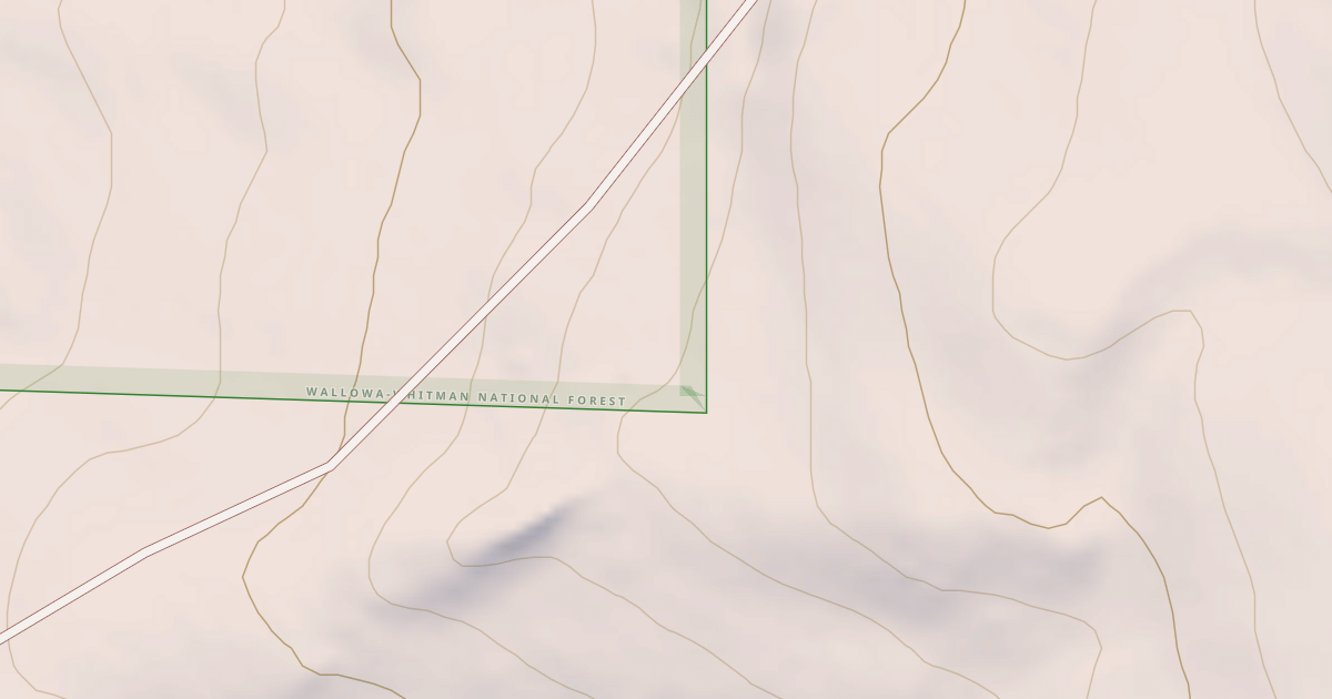 Map preview of USFS National Forest System Roads {947EFD17-D847-4CCE-948B-850F7599E3D2}