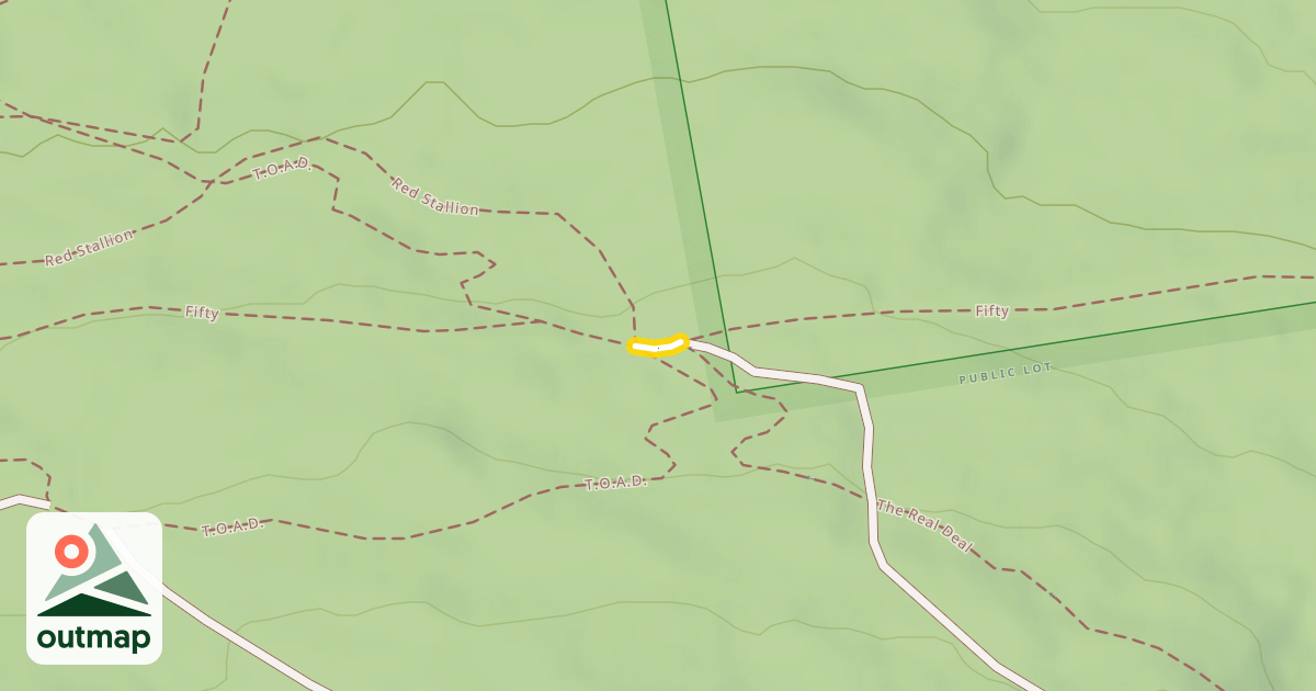 Map of Fifty