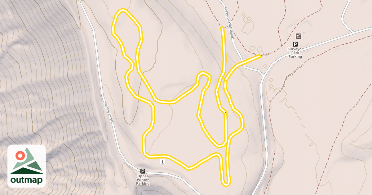 Map of Tree Loop